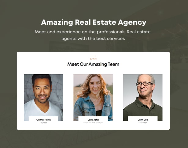Luxtower single real estate wordpress real estate agencies